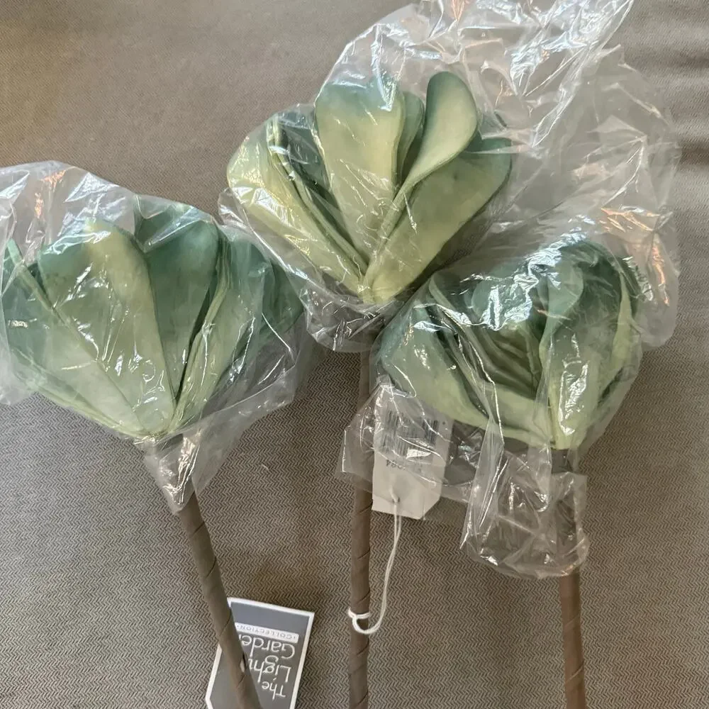 The Light Garden Collection lot 10